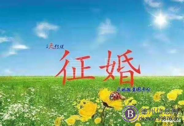 诚意征婚